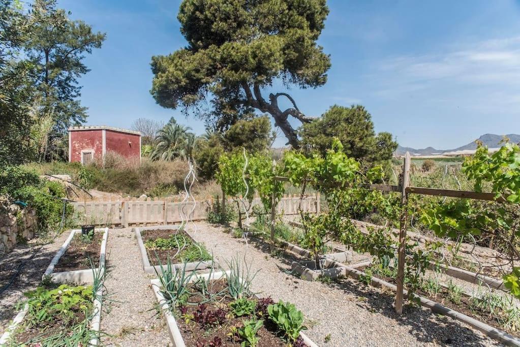 Oasis De Ifre Villa Canada de Gallego Exterior photo