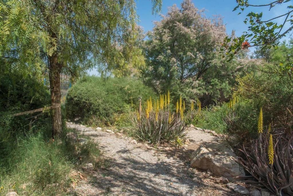 Oasis De Ifre Villa Canada de Gallego Exterior photo